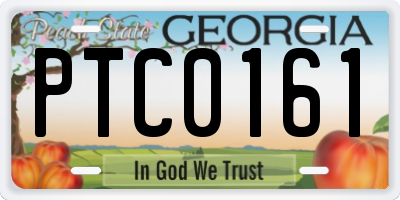 GA license plate PTC0161