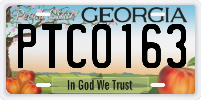 GA license plate PTC0163