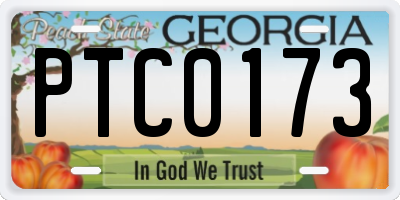 GA license plate PTC0173