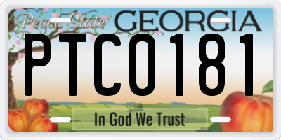 GA license plate PTC0181