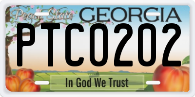 GA license plate PTC0202