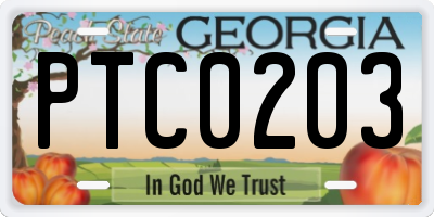 GA license plate PTC0203
