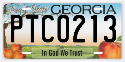 GA license plate PTC0213