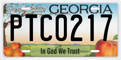 GA license plate PTC0217