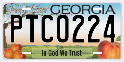 GA license plate PTC0224