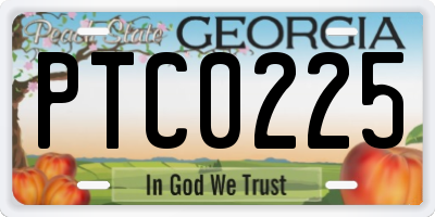 GA license plate PTC0225