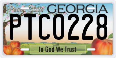 GA license plate PTC0228