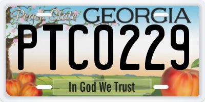 GA license plate PTC0229