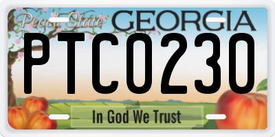 GA license plate PTC0230