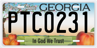 GA license plate PTC0231