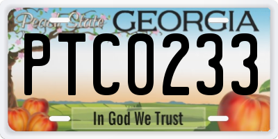 GA license plate PTC0233