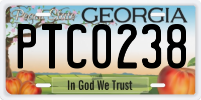 GA license plate PTC0238
