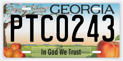 GA license plate PTC0243