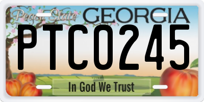GA license plate PTC0245
