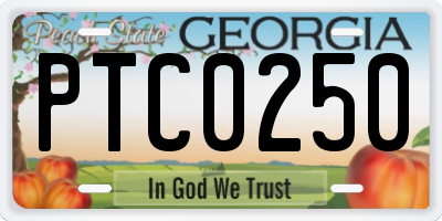 GA license plate PTC0250