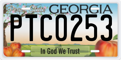 GA license plate PTC0253