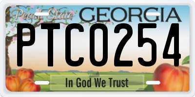 GA license plate PTC0254