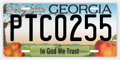 GA license plate PTC0255