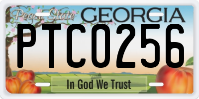 GA license plate PTC0256