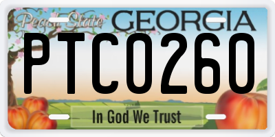 GA license plate PTC0260