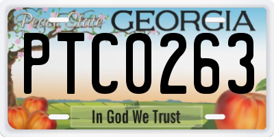 GA license plate PTC0263