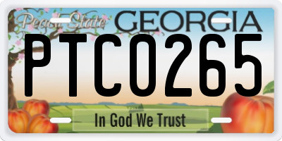GA license plate PTC0265