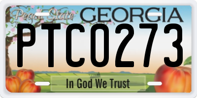 GA license plate PTC0273