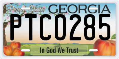 GA license plate PTC0285