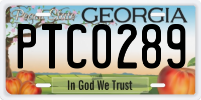 GA license plate PTC0289
