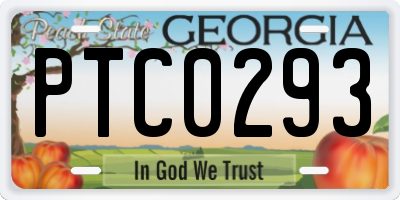 GA license plate PTC0293
