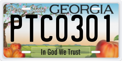 GA license plate PTC0301