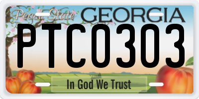 GA license plate PTC0303