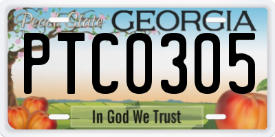 GA license plate PTC0305
