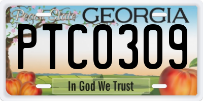 GA license plate PTC0309