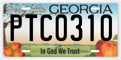 GA license plate PTC0310