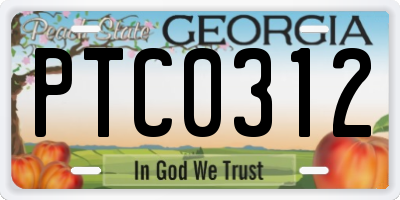 GA license plate PTC0312