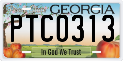 GA license plate PTC0313