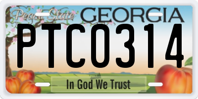 GA license plate PTC0314