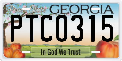 GA license plate PTC0315