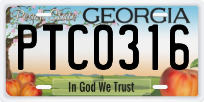 GA license plate PTC0316