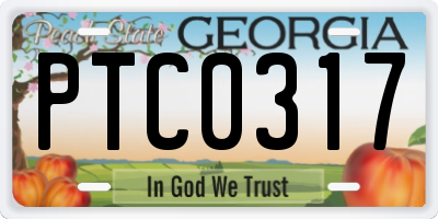 GA license plate PTC0317