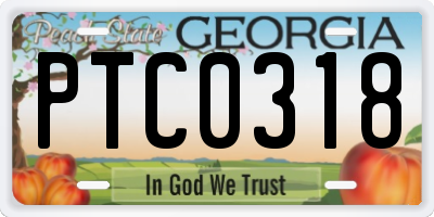 GA license plate PTC0318