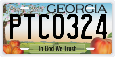 GA license plate PTC0324