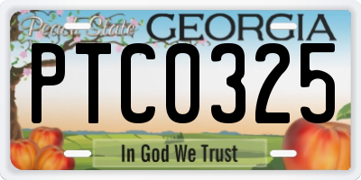 GA license plate PTC0325