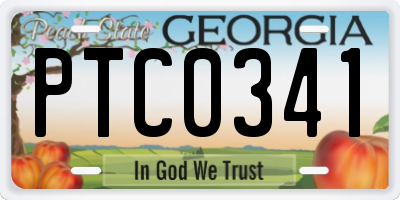 GA license plate PTC0341