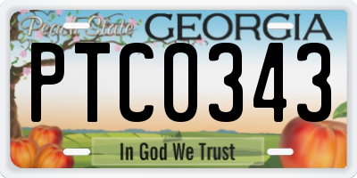 GA license plate PTC0343