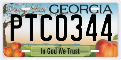 GA license plate PTC0344