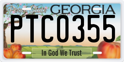 GA license plate PTC0355