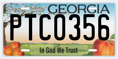 GA license plate PTC0356