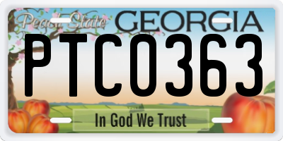 GA license plate PTC0363